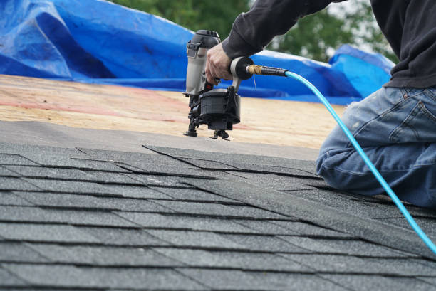 Best Roof Leak Repair  in Leesville, LA